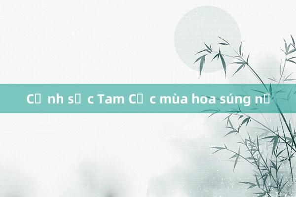 Cảnh sắc Tam Cốc mùa hoa súng nở