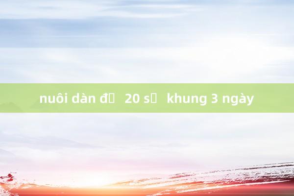 nuôi dàn đề 20 số khung 3 ngày