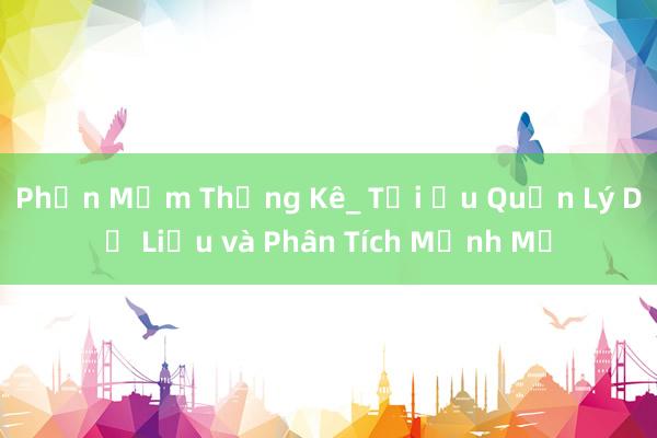 Phần Mềm Thống Kê_ Tối Ưu Quản Lý Dữ Liệu và Phân Tích Mạnh Mẽ