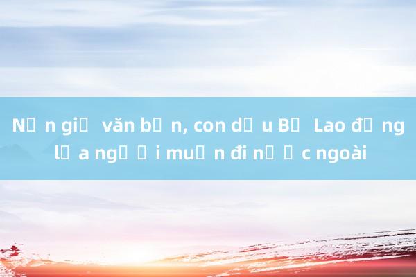 Nạn giả văn bản， con dấu Bộ Lao động lừa người muốn đi nước ngoài