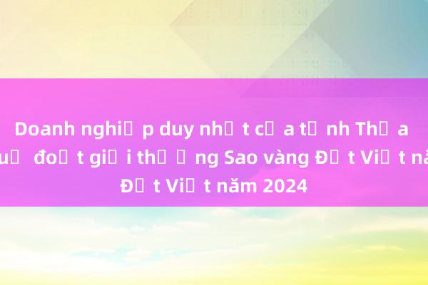 Doanh nghiệp duy nhất của tỉnh Thừa Thiên Huế đoạt giải thưởng Sao vàng Đất Việt năm 2024