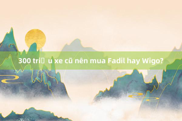 300 triệu xe cũ nên mua Fadil hay Wigo?